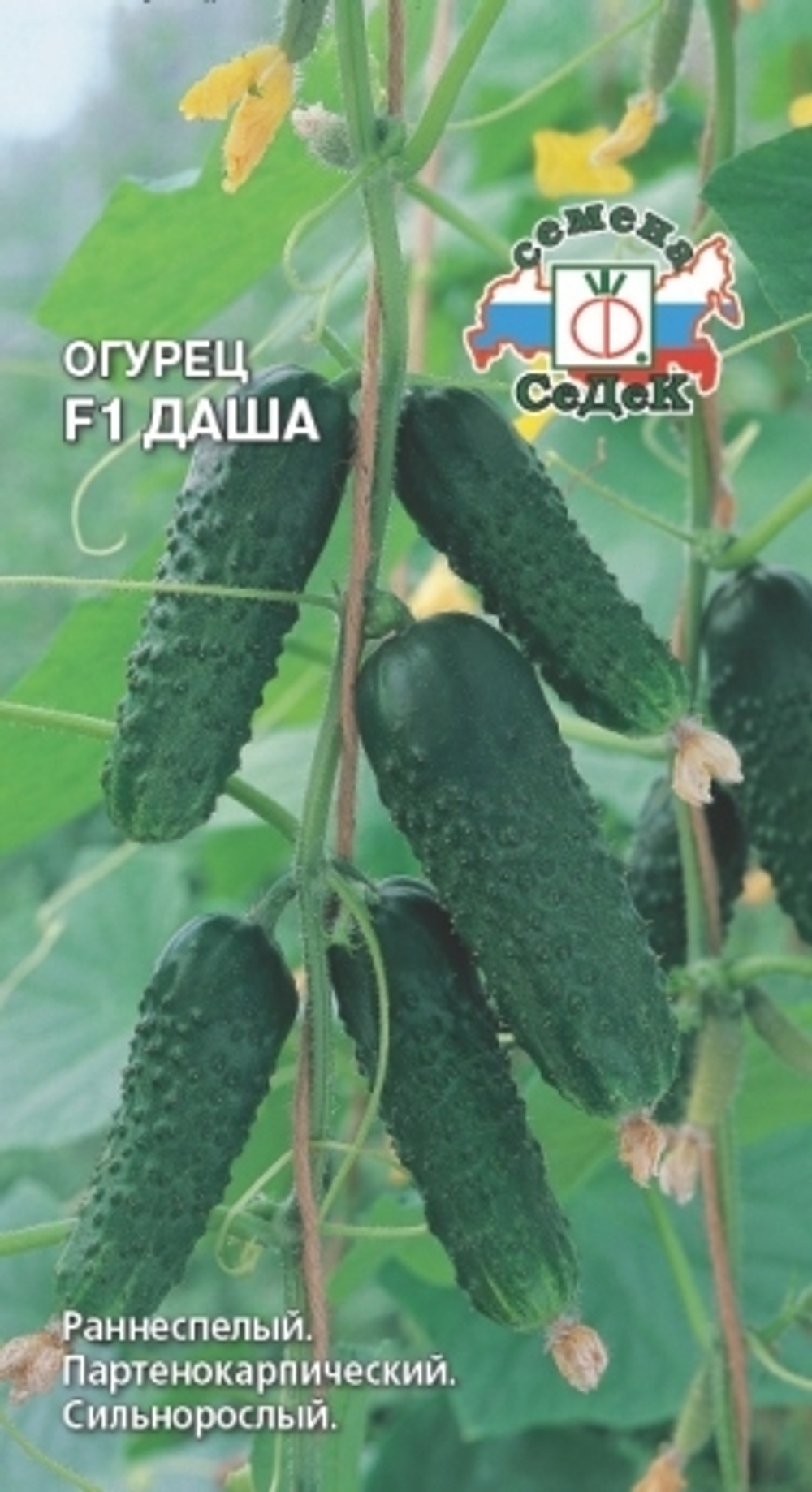 огурец Даша F1