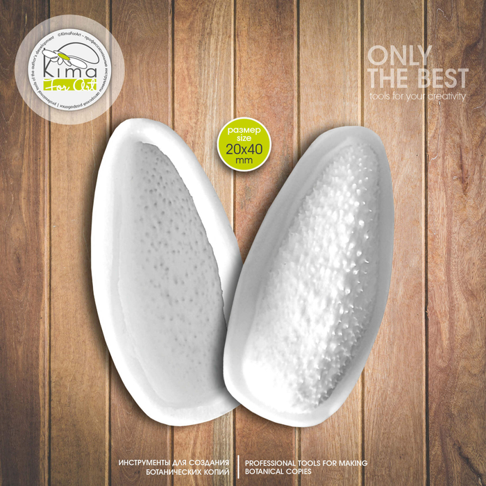 Мак чашелистик средний