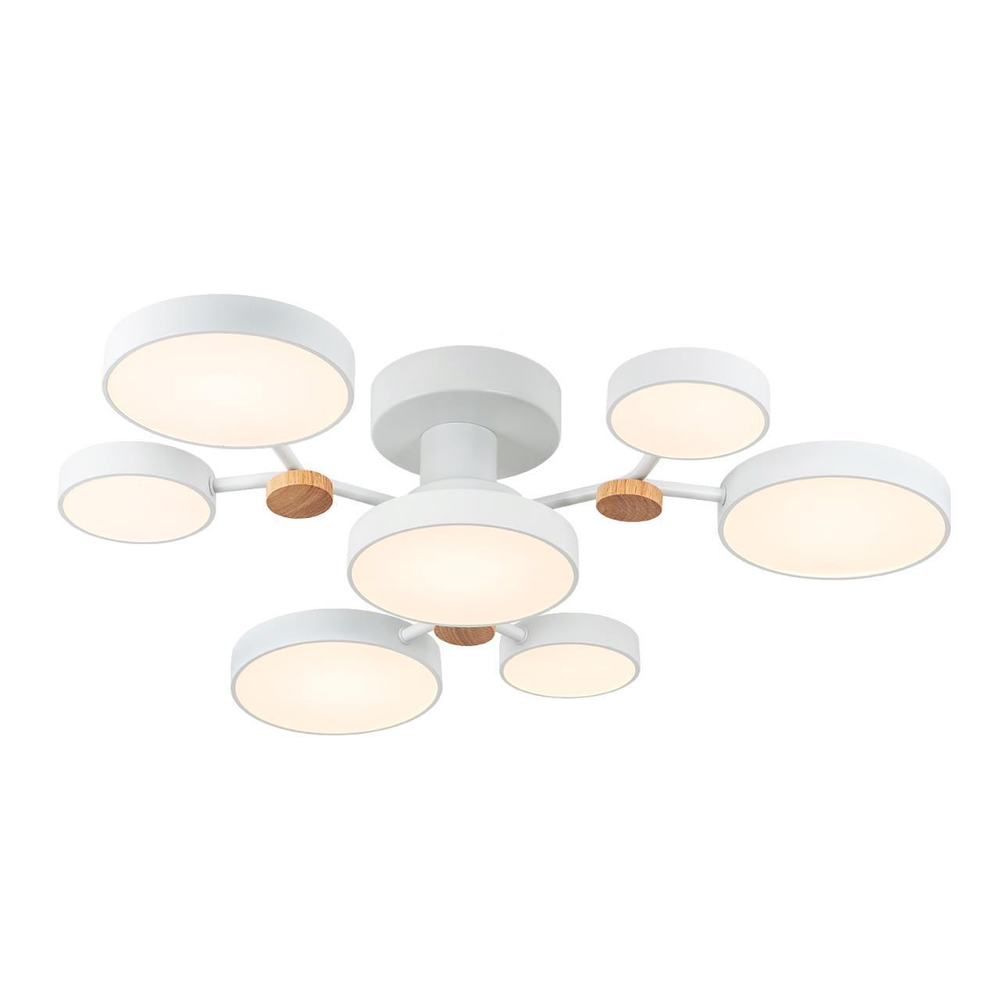 Потолочный светодиодный светильник LED4U L3201-700 WT