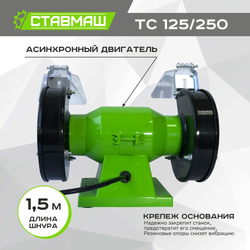 Станок точильный СТАВМАШ ТС-125/250 (125мм, 250Вт)