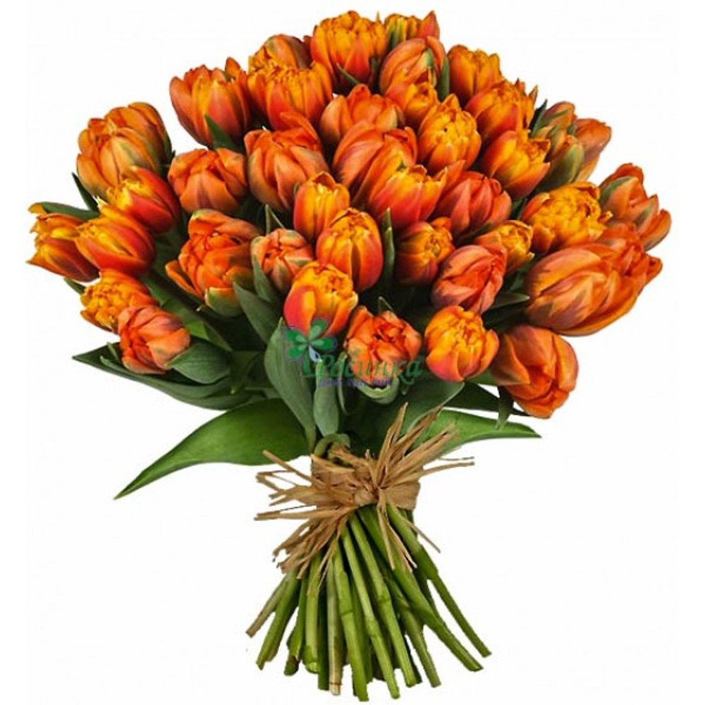 Тюльпаны оранжевые под ленту