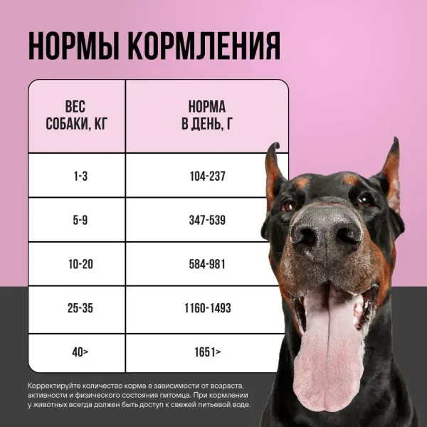 Консервы BOWL WOW для взрослых собак всех пород с индейкой и тыквой