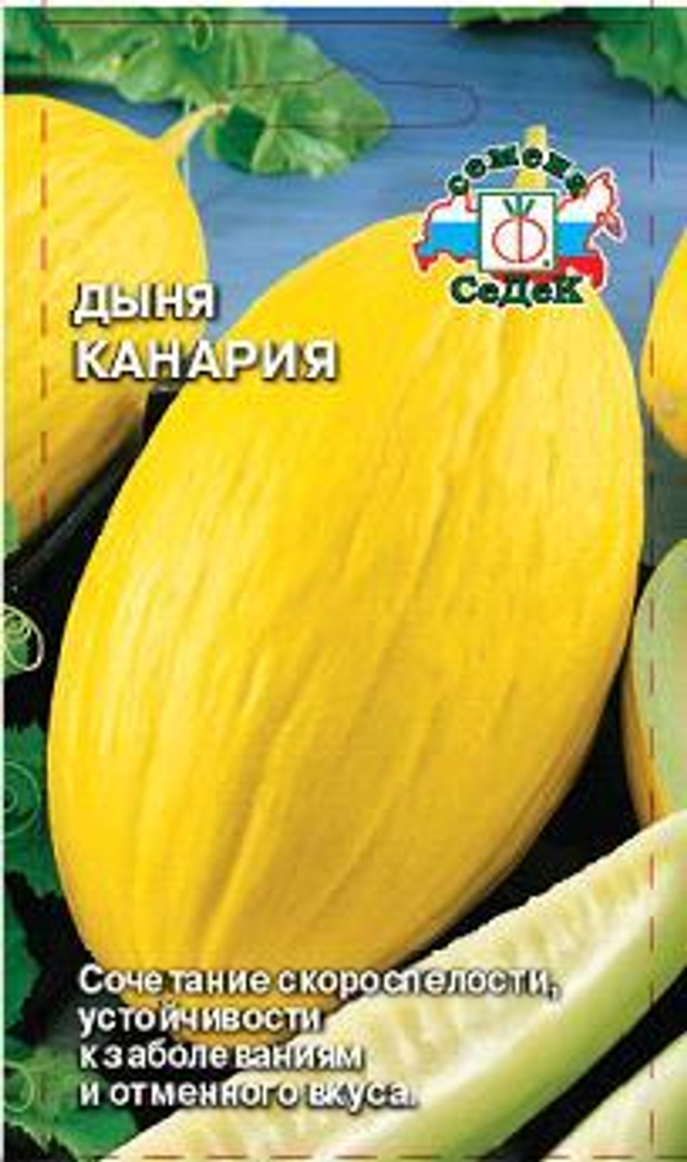 Дыня Канария