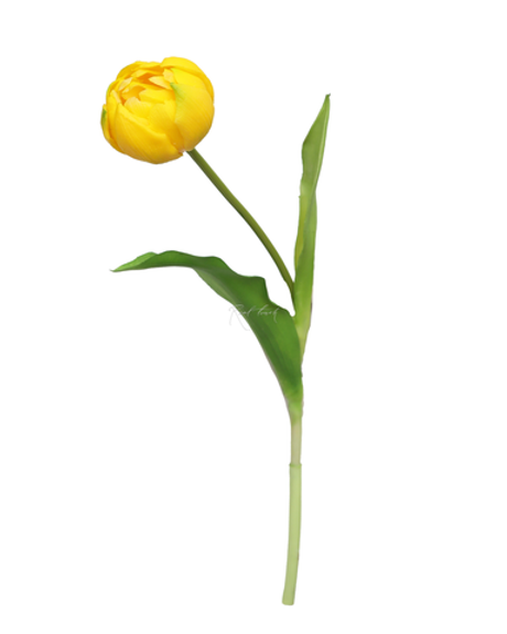 Пионовидный тюльпан - Желтый