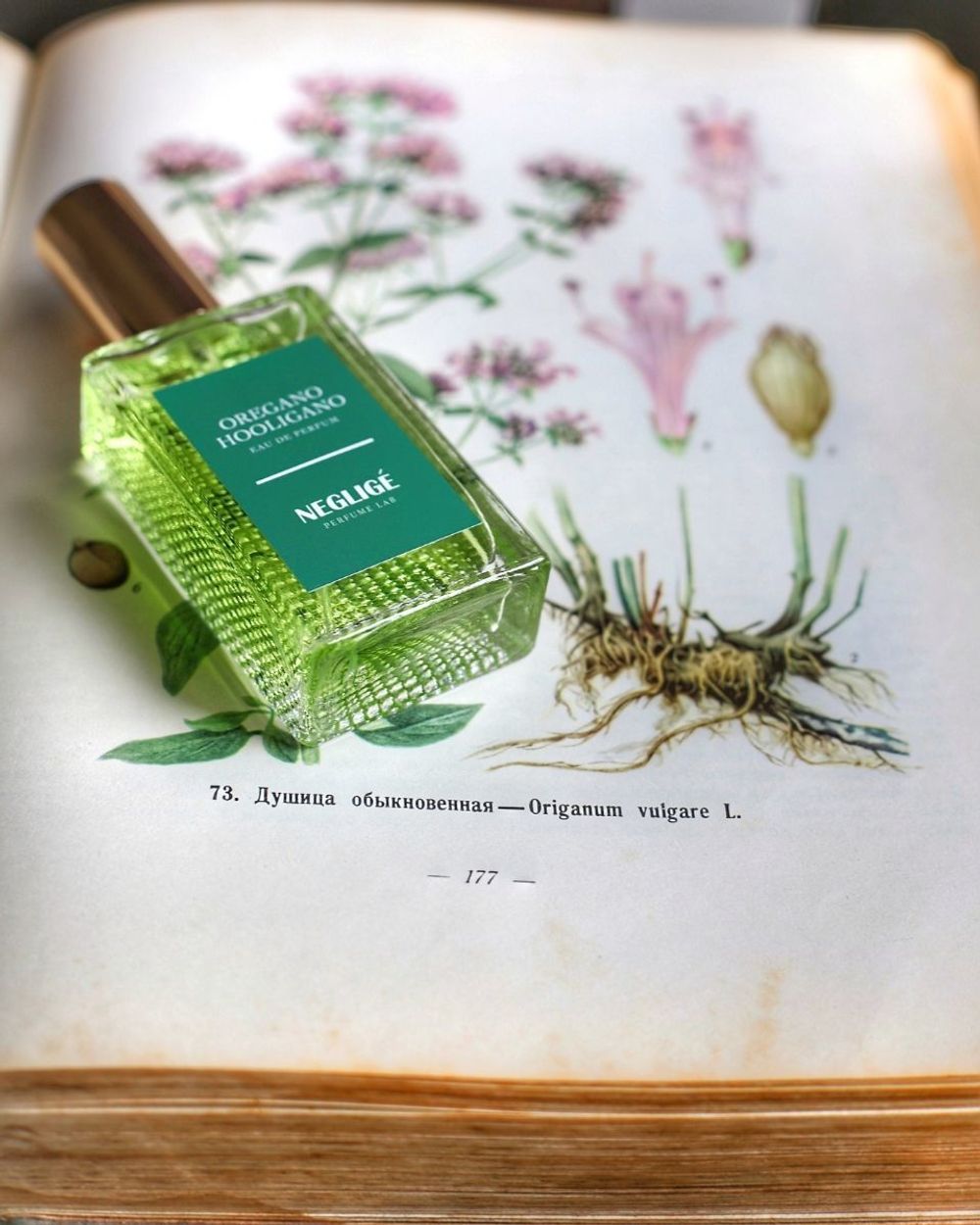 Neglige Perfume Lab Oregano Hooligano