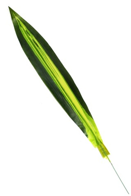 Лист Драцены