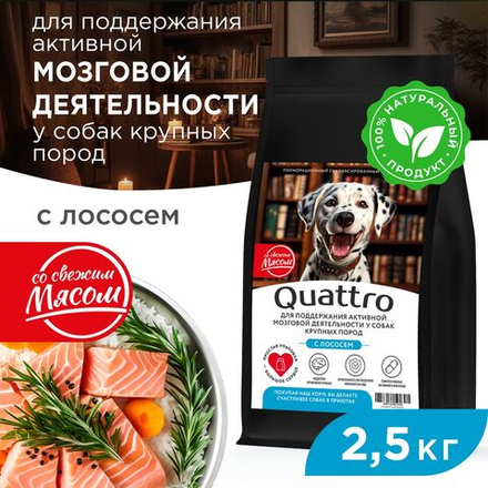 Корм сухой для взрослых собак крупных пород, премиум полнорационный комплекс, для поддержания активной мозговой деятельности, с лососем, 2,5 кг, QUATTRO