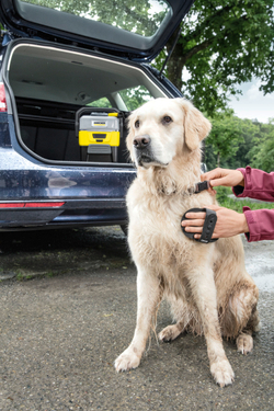 Щетка для чистки шерсти