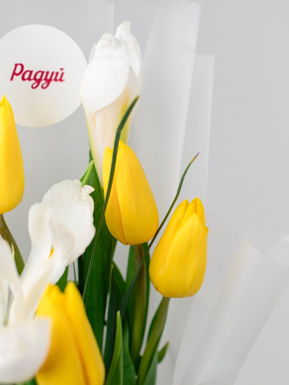 Дуо букет Ирисы с Тюльпанами