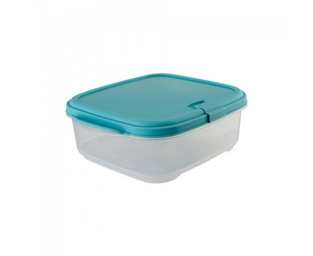 Контейнер для СВЧ 0,7л Полимербыт (крышка красная или зеленая)