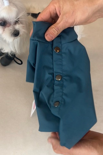 Комбинезон-дождевик на гладкой подкладке с кнопками на спине (мальчик) (сине-зеленый)