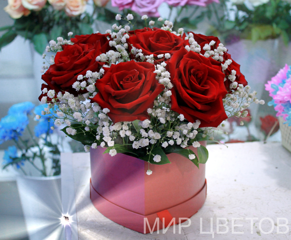 Лучи Сердца