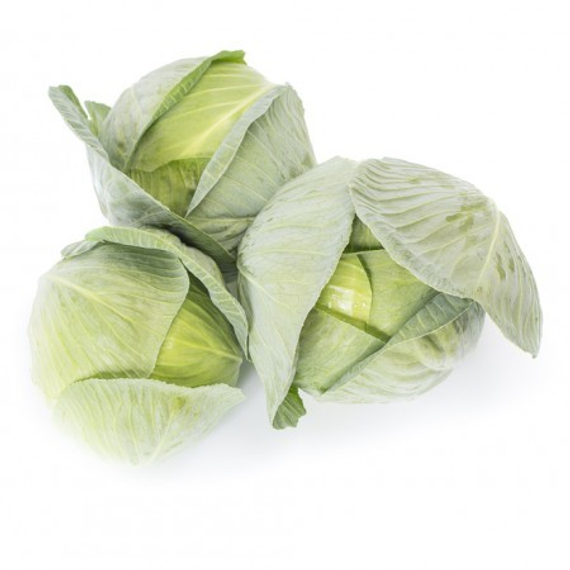 Корсума F1 семена капусты белокочанной (Rijk Zwaan / Райк Цваан) продукт – фото 5