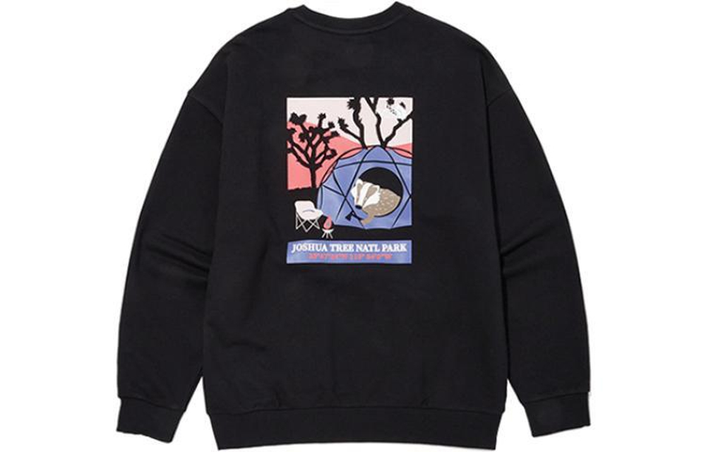 Толстовки THE NORTH FACE, NM5MN01A