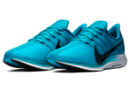 Кроссовки Nike Pegasus 35 Turbo