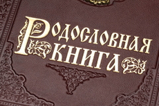 Родословная книга Гербовая (накладка Герб) в картонной коробке