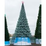 ель изумрудная Альпийская ствольная