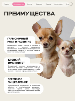 Корм сухой для щенков породы Французский бульдог, с говядиной, 3 кг, QUATTRO