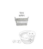 Lovely Dogs. Coloring book