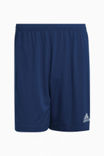 Шорты adidas Entrada 22