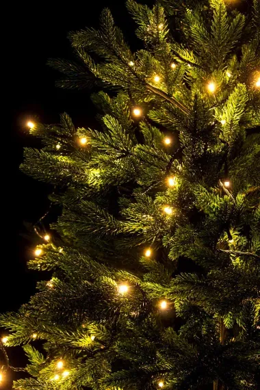 Светодиодная нить 7 м., 220V, 100 теплых белых LED ламп, контроллер, черный провод, Winner Light (ww.01.5B.100-)