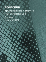 Лонгслив для мальчика, зеленый