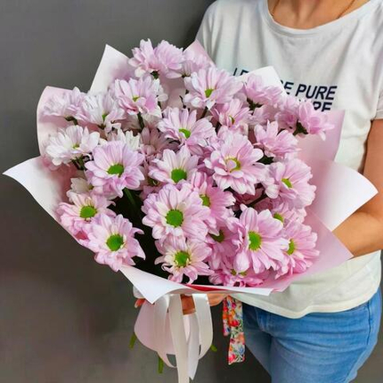 Букет из 5 кустовых хризантем сорта "Kennedy rosy"