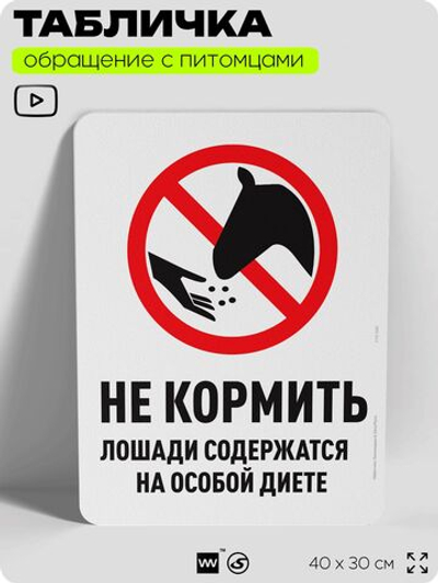 Табличка "Не кормить, лошади содержатся на особой диете" на дверь и забор, для конюшни, фермы, деревни, 40х30 см, Silver Plane x Айдентика Технолоджи