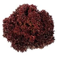 Салат Лолло Росса