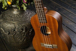 Укулеле FLIGHT NUT 310