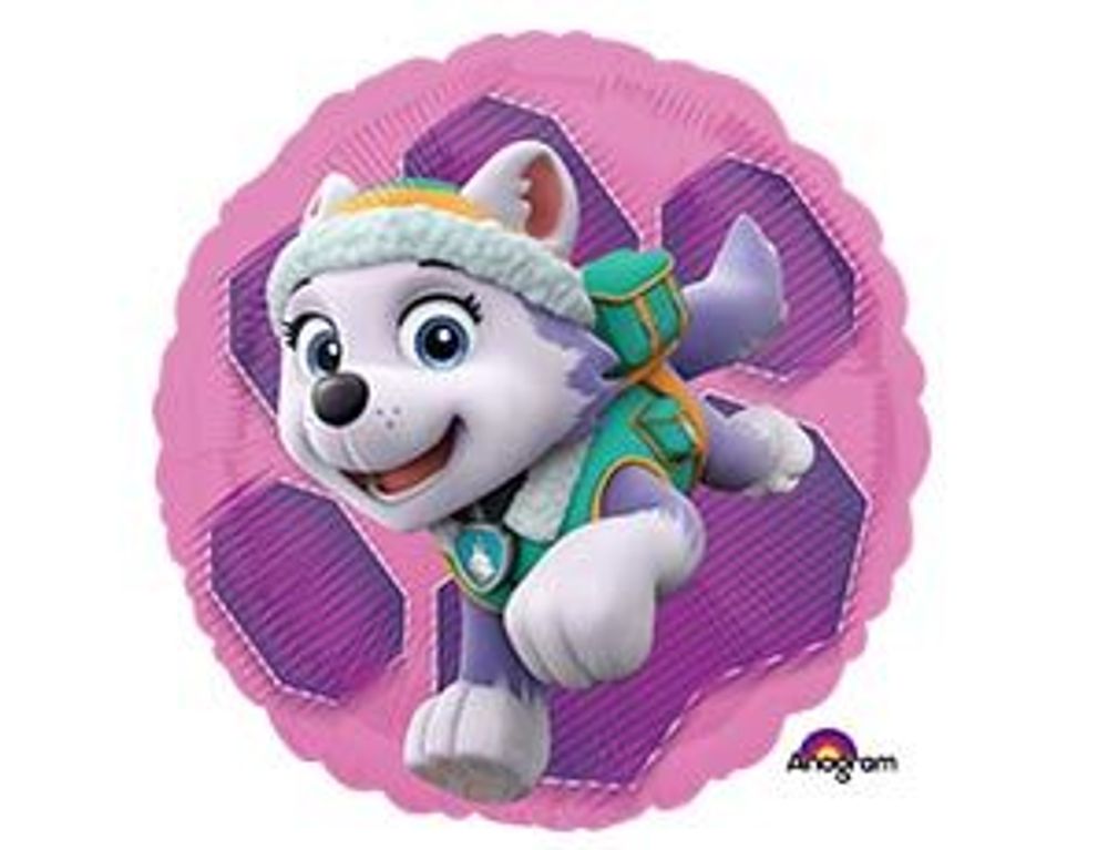 Шар (18"/46см) Круг, Щенячий патруль Скай и Эверест S60