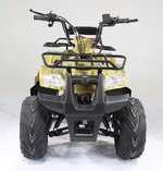 Квадроцикл MOTOLAND (МОТОЛЕНД) 110 RIDER