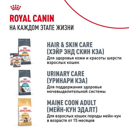 Royal Canin Maine Coon Kitten Корм сухой сбалансированный для котят породы Мэйн Кун 0,4кг