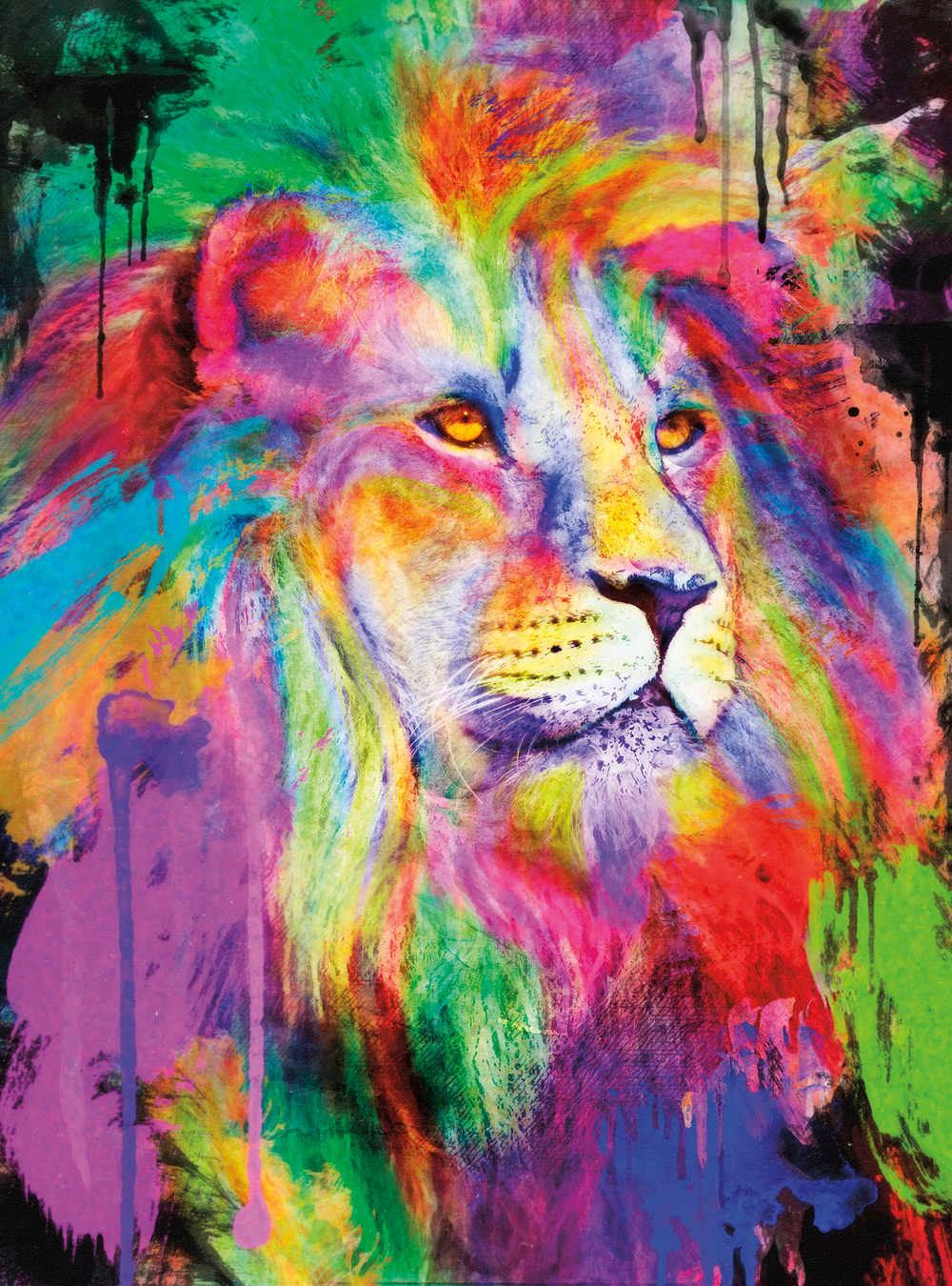 Коллекция Животные