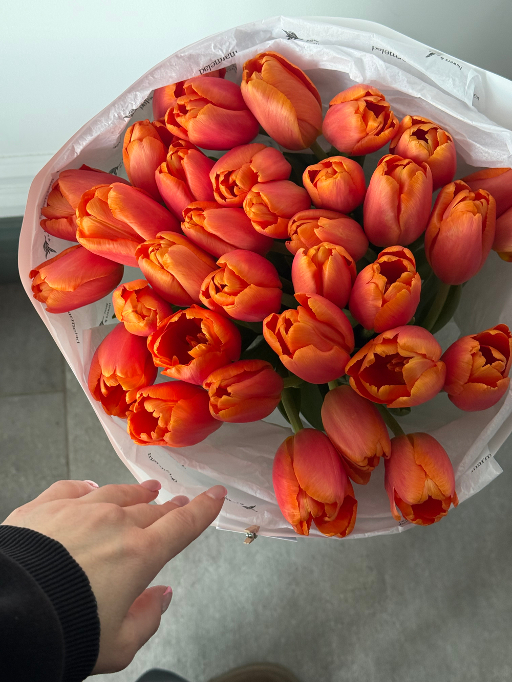 Букет из 35-ти оранжевых тюльпанов