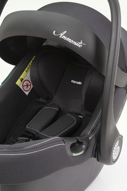 Коляска Carrello Vector 2025 CRL-6551 Ammonite AY329 Pro Absolute Black с базой Isofix 3 в 1 Golden Beige