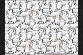 Микровелюр Kotofey 02 / Котофеи 02