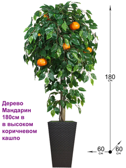 Искусственное дерево Мандарин 180см в высоком коричневом кашпо ротанг