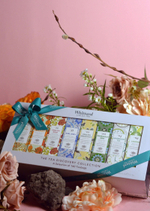 Whittard of Chelsea 1886 Набор чая в пакетиках The Tea Discovery Collection