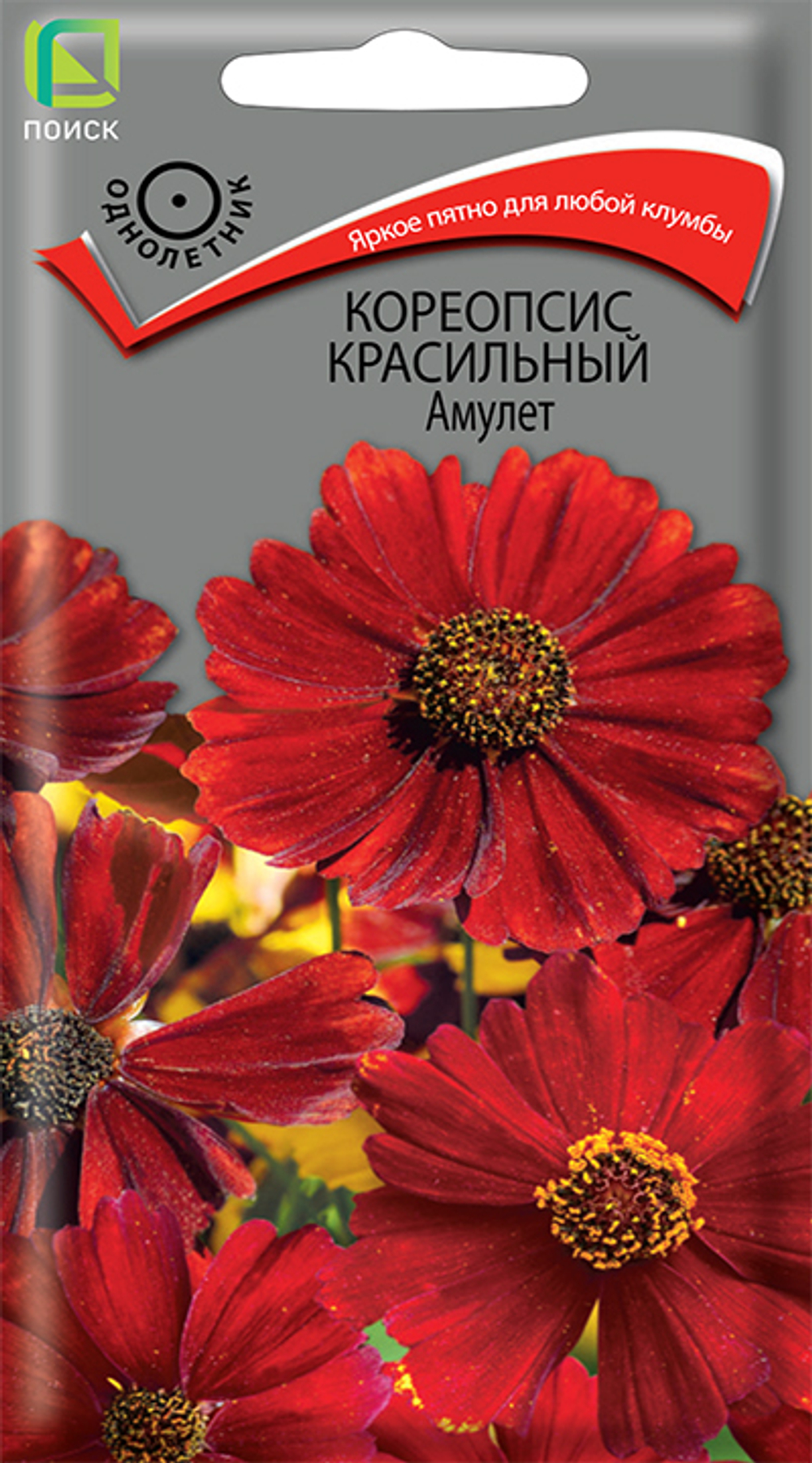 Кореопсис красильный Амулет