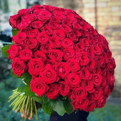 Премиум 101 Роза Эквадор 💕