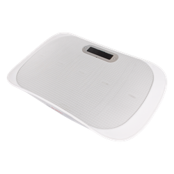 Виброплатформа Ergonova Max Burn