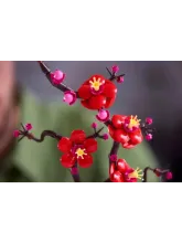 Конструктор для взрослых Botanicals 10369 Цветущая слива