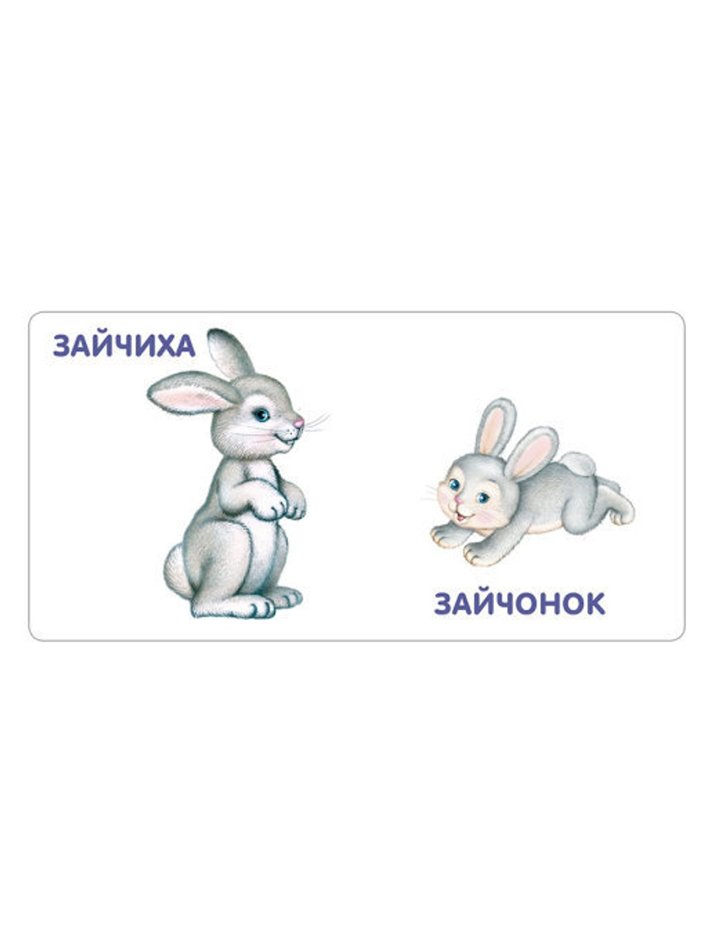 Книжки - картонки. Животные и детёныши