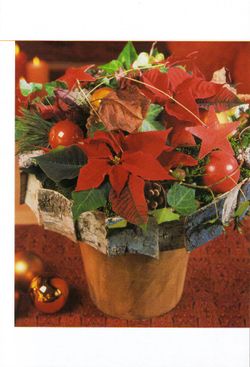 100 best bouquets of Winter