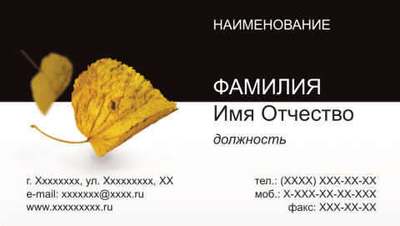001-00008