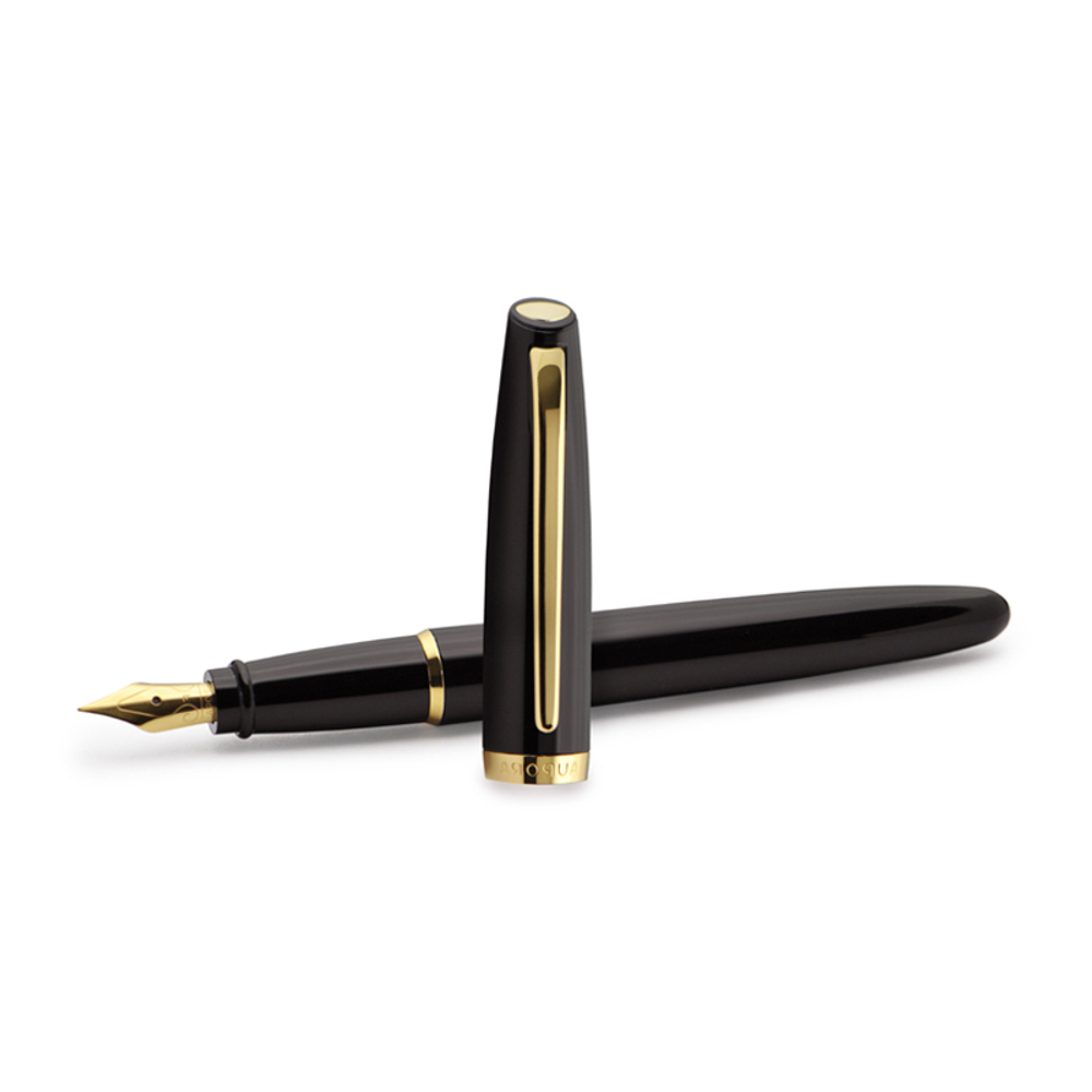 Перьевая ручка Aurora Style Resin black GT, перо - F, в подарочной коробке