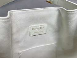 Christian Dior Medium C'est Dior Bag 24 cm
