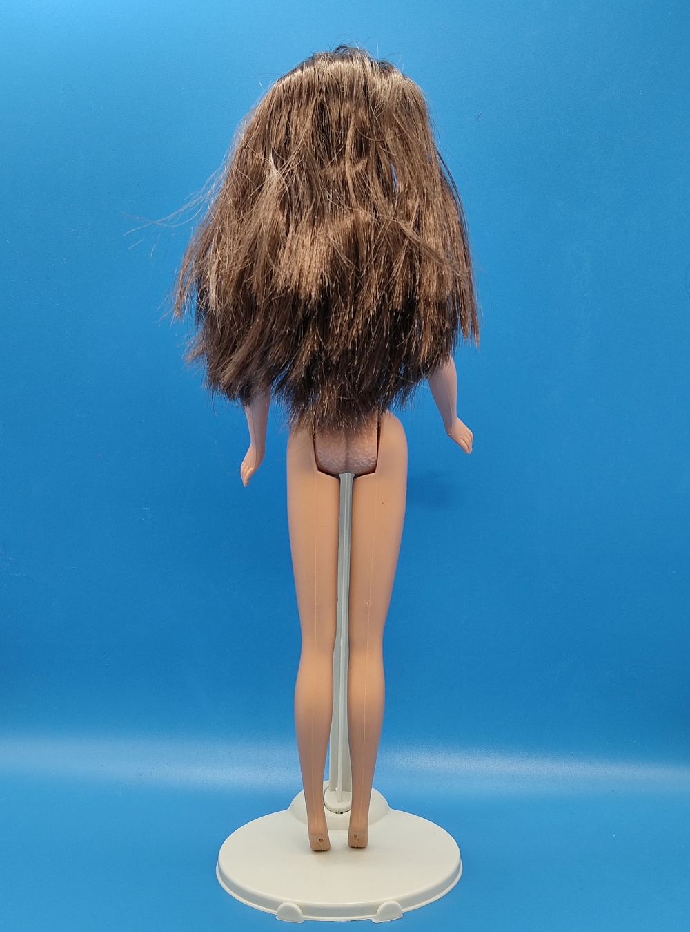 Кукла Барби 00х винтаж Picture Pockets Teresa 031040