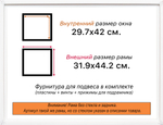 Рама 29,7x42 для картин и фотографий RP0330256-13